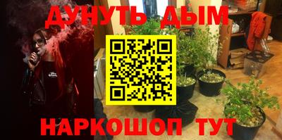 прущая мука Гатчина