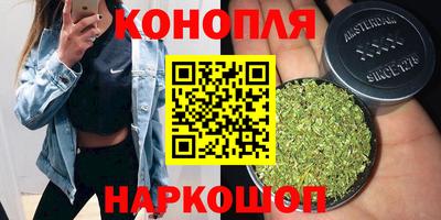 прущая мука Гатчина