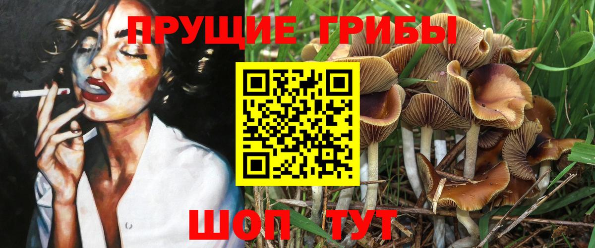 Галлюциногенные грибы Psilocybe  цены наркотик  Галлюциногенные грибы ЛСД  Волжский  Вход с VPN 