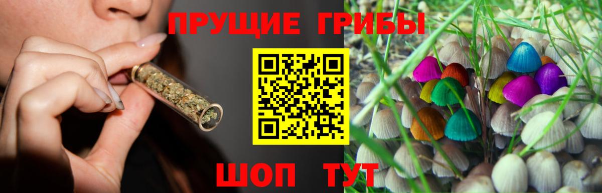 Псилоцибиновые грибы прущие грибы Волжский